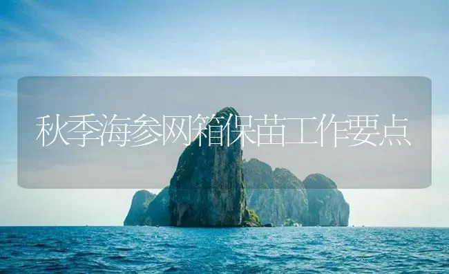 秋季海参网箱保苗工作要点 | 海水养殖