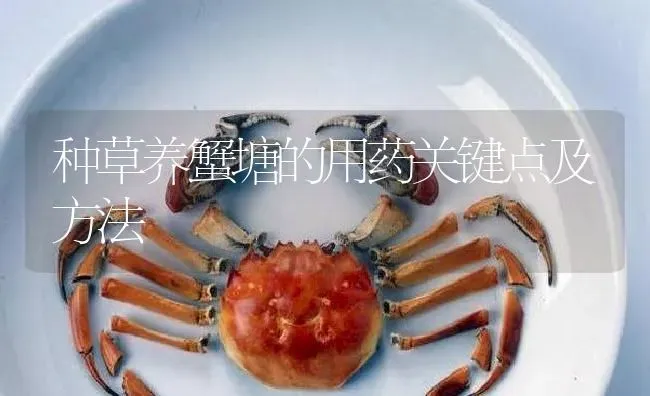 种草养蟹塘的用药关键点及方法 | 养殖病虫害防治