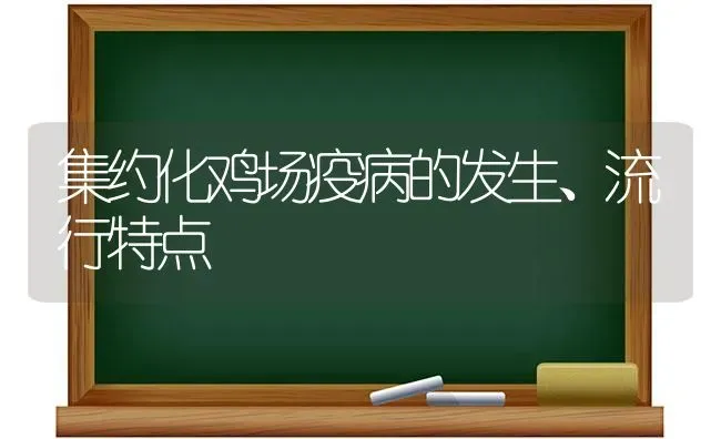 集约化鸡场疫病的发生、流行特点 | 家禽养殖