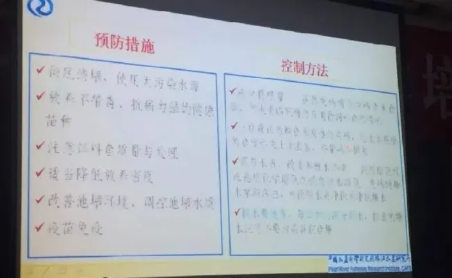 桂花鱼养殖技术培训班心得体会分享