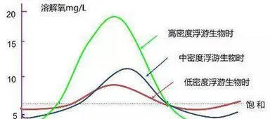 氧的基本知识，让你知道虾蟹塘缺氧该怎么办？