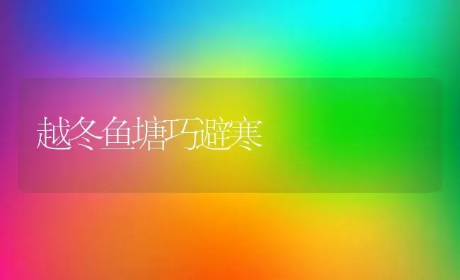 越冬鱼塘巧避寒 | 淡水养殖