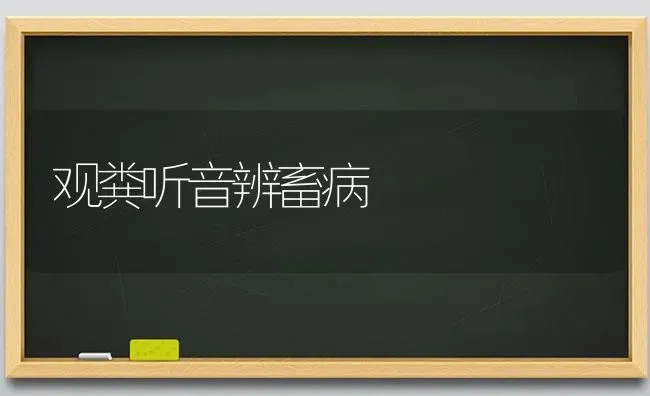 观粪听音辨畜病 | 家畜养殖