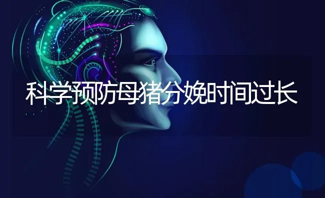 科学预防母猪分娩时间过长 | 家畜养殖