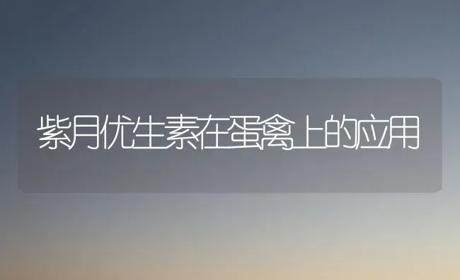 紫月优生素在蛋禽上的应用 | 家禽养殖