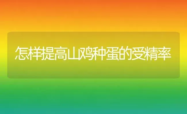 怎样提高山鸡种蛋的受精率 | 家禽养殖