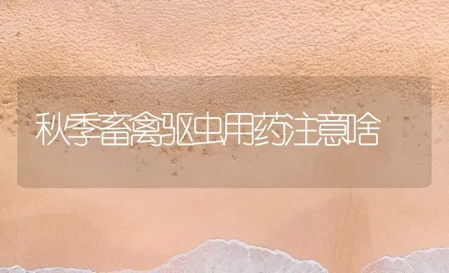 秋季畜禽驱虫用药注意啥 | 养殖病虫害防治