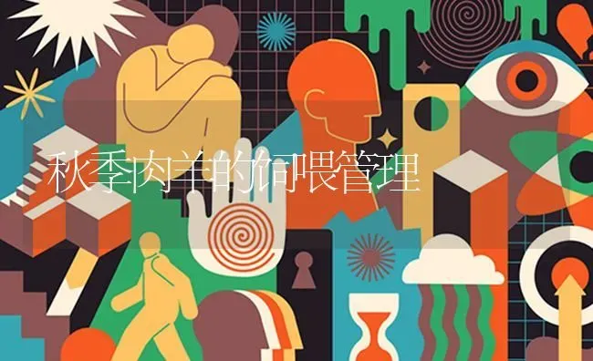 秋季肉羊的饲喂管理 | 家畜养殖