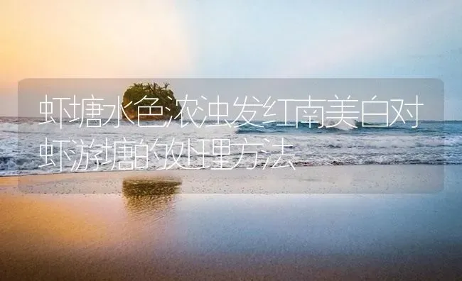 虾塘水色浓浊发红南美白对虾游塘的处理方法 | 海水养殖