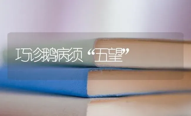 巧诊鹅病须“五望” | 家禽养殖