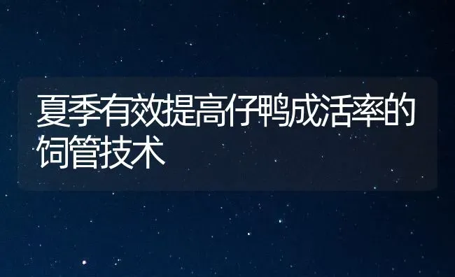 夏季有效提高仔鸭成活率的饲管技术 | 家禽养殖