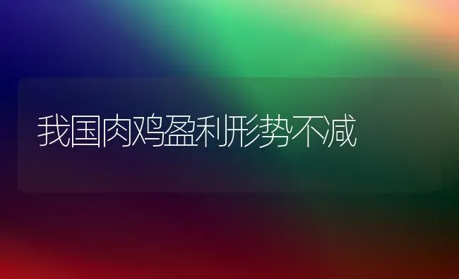 我国肉鸡盈利形势不减 | 家禽养殖