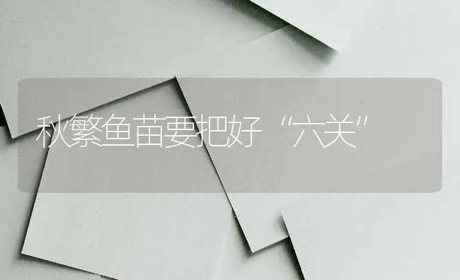 秋繁鱼苗要把好“六关” | 淡水养殖