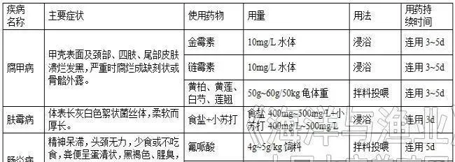 中华花龟台湾草龟六线草龟怎么养殖