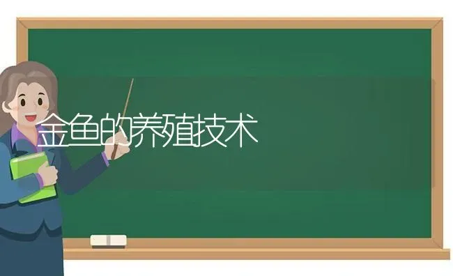 金鱼的养殖技术 | 淡水养殖