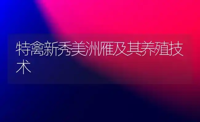 特禽新秀美洲雁及其养殖技术 | 家禽养殖