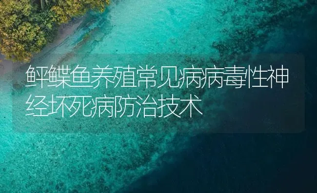 鲆鲽鱼养殖常见病病毒性神经坏死病防治技术 | 海水养殖