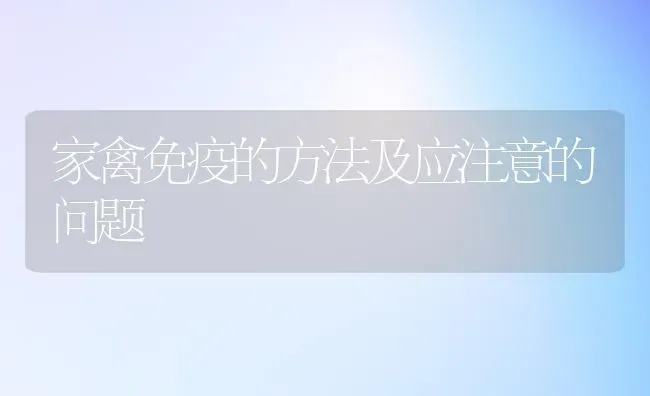 家禽免疫的方法及应注意的问题 | 家禽养殖