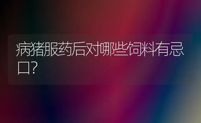 病猪服药后对哪些饲料有忌口？ | 养殖病虫害防治