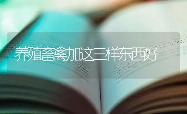 养殖畜禽加这三样东西好 | 家禽养殖