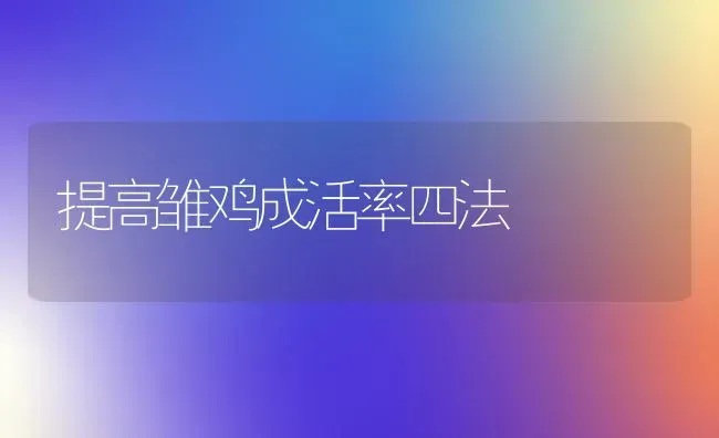 提高雏鸡成活率四法 | 家禽养殖