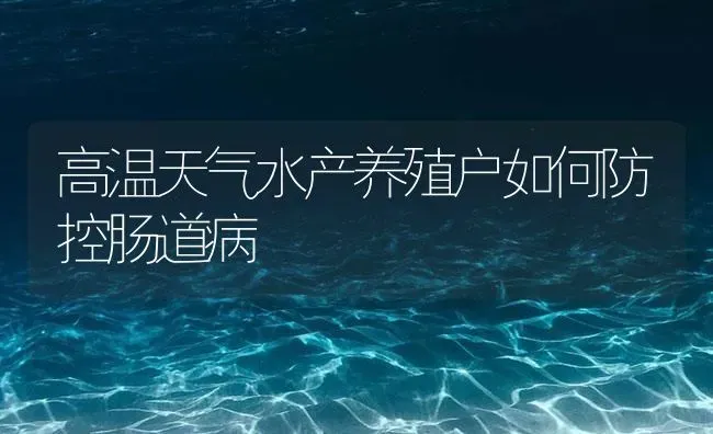 高温天气水产养殖户如何防控肠道病 | 养殖病虫害防治