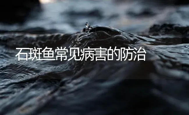 石斑鱼常见病害的防治 | 海水养殖