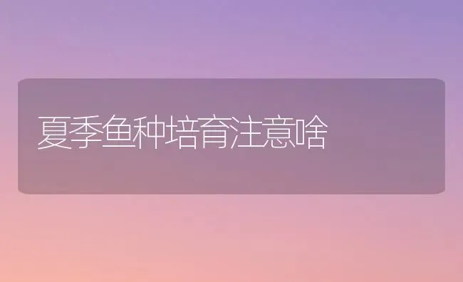 夏季鱼种培育注意啥 | 淡水养殖