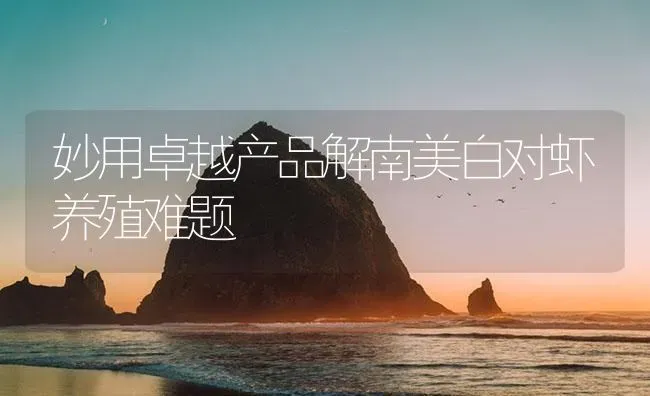 妙用卓越产品解南美白对虾养殖难题 | 海水养殖