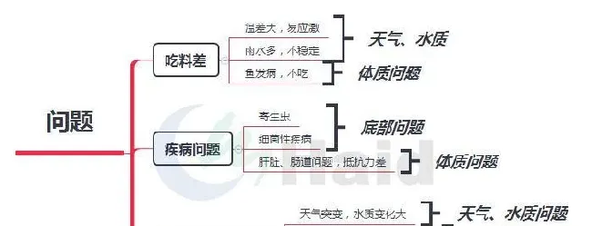 清明前后，草鱼如何渡过“鬼门关”