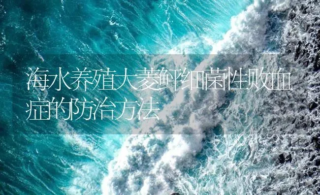 海水养殖大菱鲆细菌性败血症的防治方法 | 海水养殖