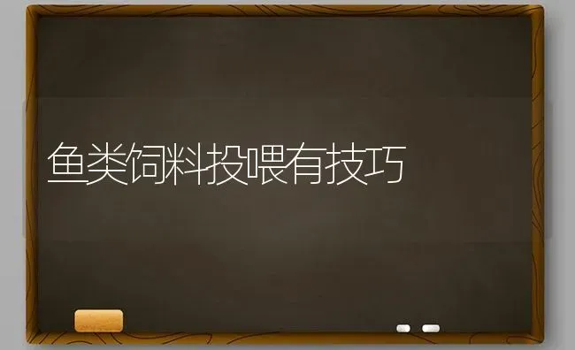 鱼类饲料投喂有技巧 | 动物养殖饲料