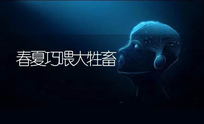 春夏巧喂大牲畜 | 家畜养殖