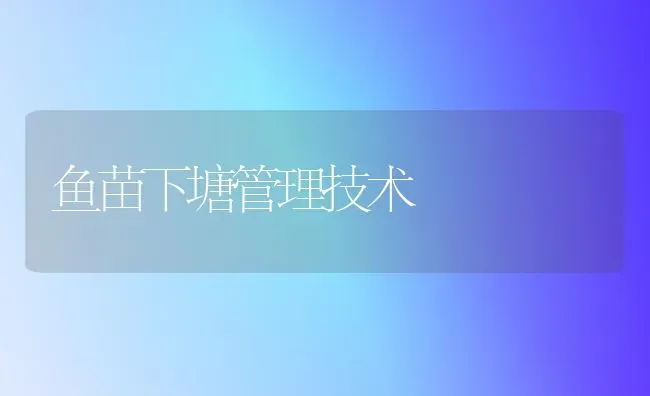 鱼苗下塘管理技术 | 淡水养殖