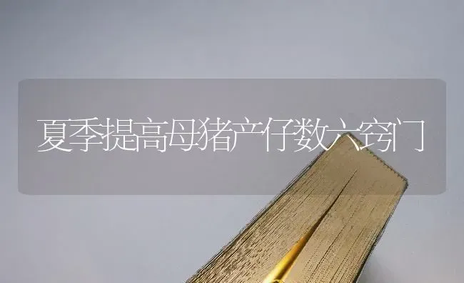 夏季提高母猪产仔数六窍门 | 家畜养殖