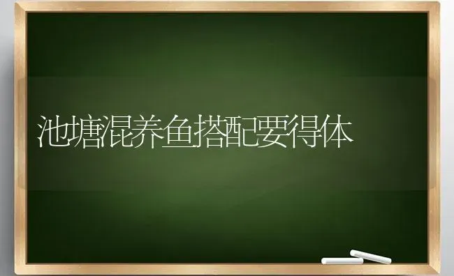 池塘混养鱼搭配要得体 | 淡水养殖