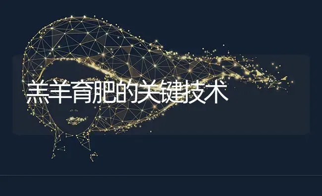 羔羊育肥的关键技术 | 家畜养殖