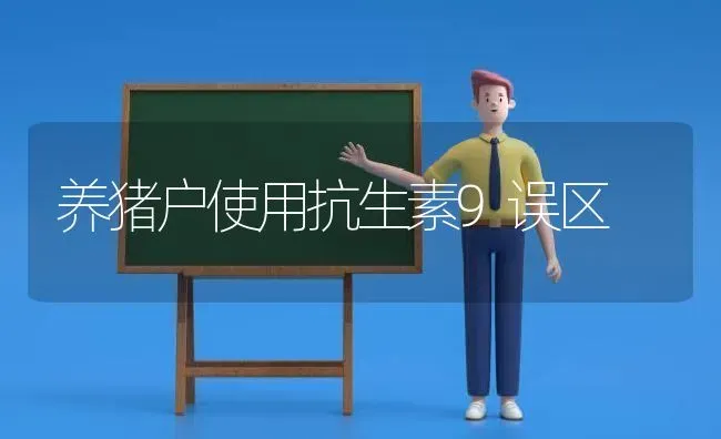 养猪户使用抗生素9误区 | 家畜养殖