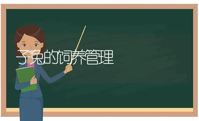 子兔的饲养管理 | 家畜养殖