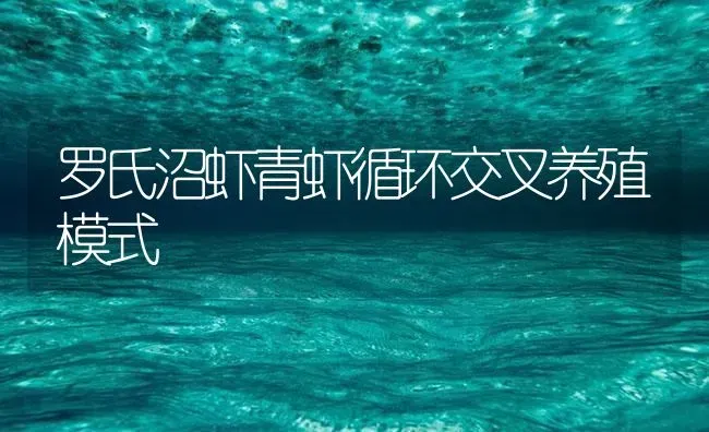 罗氏沼虾青虾循环交叉养殖模式 | 海水养殖