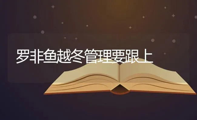 罗非鱼越冬管理要跟上 | 淡水养殖