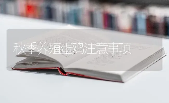 秋季养殖蛋鸡注意事项 | 家禽养殖