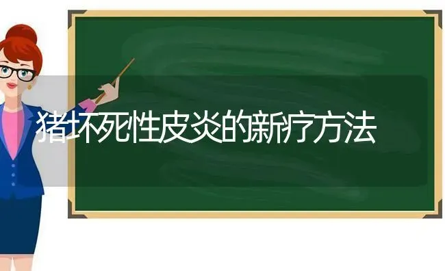 猪坏死性皮炎的新疗方法 | 家畜养殖