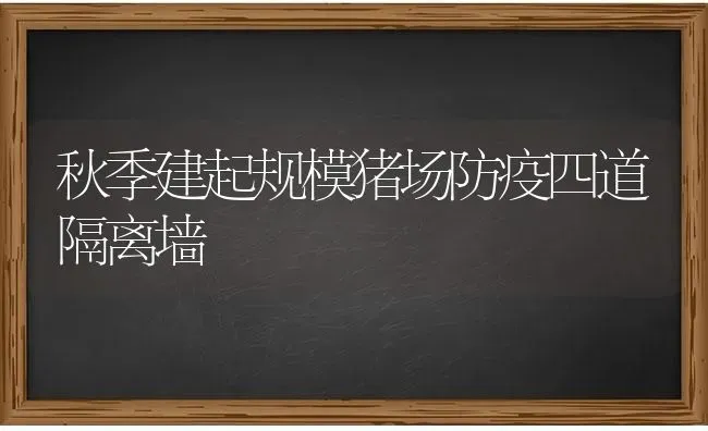 秋季建起规模猪场防疫四道隔离墙 | 家畜养殖