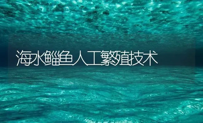 海水鲻鱼人工繁殖技术 | 海水养殖