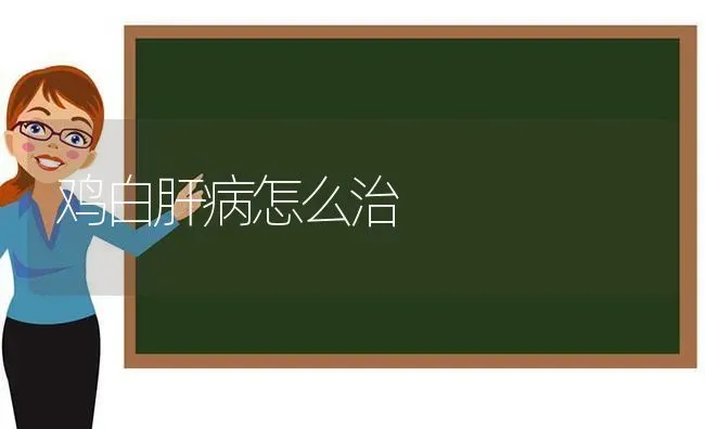 鸡白肝病怎么治 | 家禽养殖
