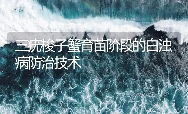 三疣梭子蟹育苗阶段的白浊病防治技术 | 海水养殖