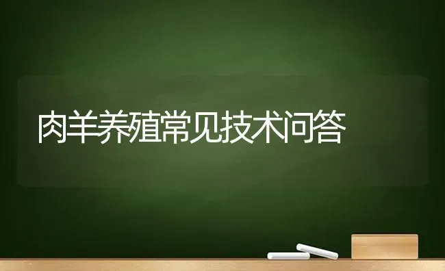 肉羊养殖常见技术问答 | 家畜养殖