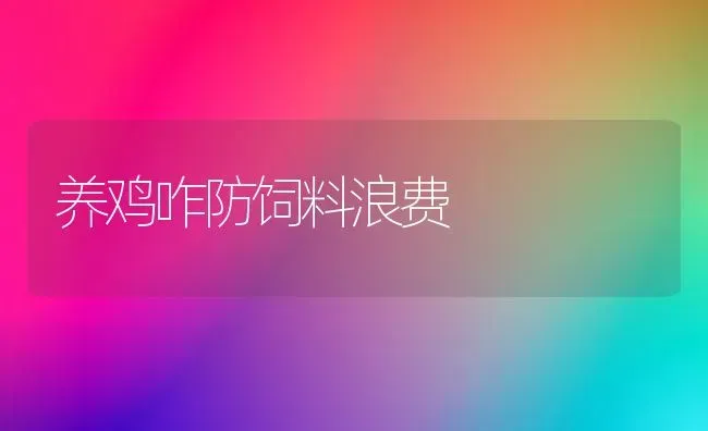 养鸡咋防饲料浪费 | 家禽养殖