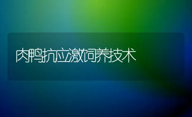 肉鸭抗应激饲养技术 | 家禽养殖